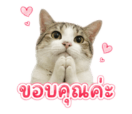 883337681