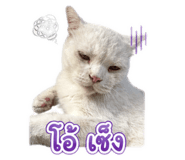 883337688