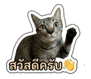 883337745