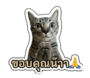 883337746