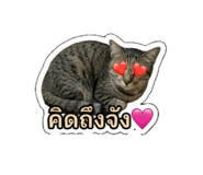 883337749