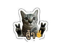 883337757