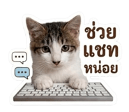 883344577