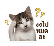 883344578