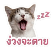 883344580