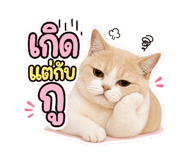 883344599