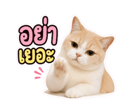 883344600