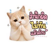 883344602