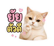 883344603