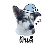 883347386