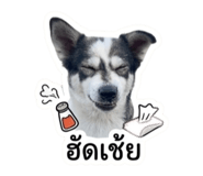 883347388