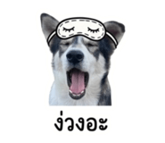 883347404