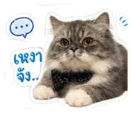 883348034