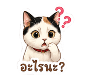 883360011