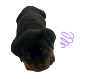 883361941