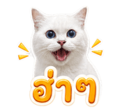 883369209