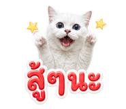 883369213
