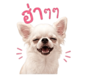 883370276