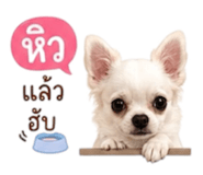 883370283