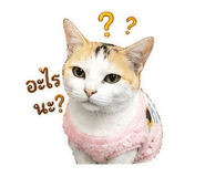 883371327