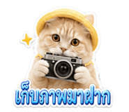 883372481