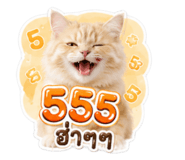883372508