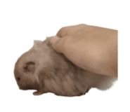 883373308