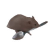 883373310
