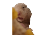 883373312