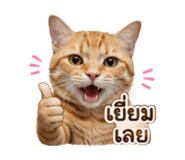 883373745