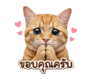 883373748