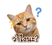 883373751