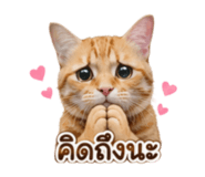 883373757