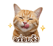 883373760