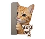 883373761