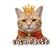 883373762