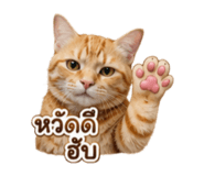 883373763