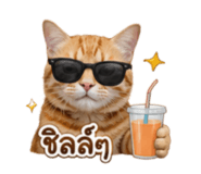 883373767