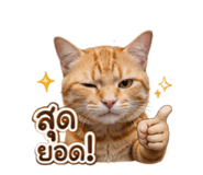 883373768