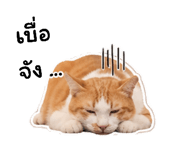 883374237