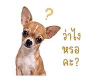 883374368