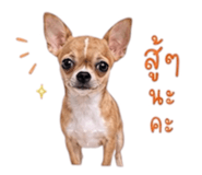 883374376