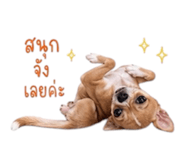 883374378