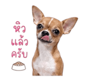 883374384