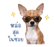 883374392
