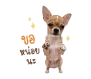 883375737