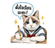883378606