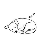 883379881