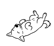 883379885