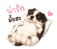883380121